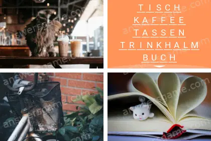 Mehrsilbig (Polysyllable) Ebene 17 Puzzle 4 Lösung