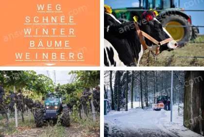 Mehrsilbig (Polysyllable) Ebene 19 Puzzle 3 Lösung