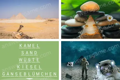 Mehrsilbig (Polysyllable) Ebene 19 Puzzle 5 Lösung