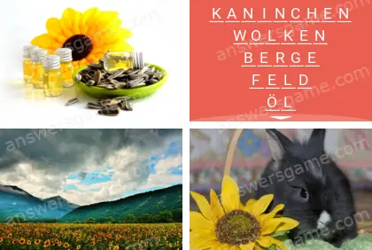 Mehrsilbig (Polysyllable) Ebene 1 Puzzle 1 Lösung