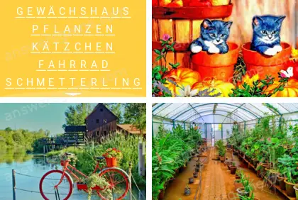 Mehrsilbig (Polysyllable) Ebene 1 Puzzle 4 Lösung