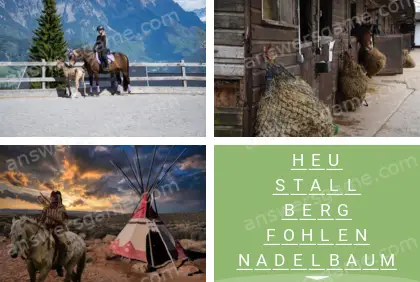 Mehrsilbig (Polysyllable) Ebene 20 Puzzle 7 Lösung