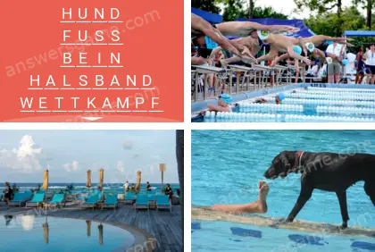 Mehrsilbig (Polysyllable) Ebene 21 Puzzle 3 Lösung