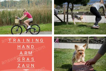 Mehrsilbig (Polysyllable) Ebene 22 Puzzle 8 Lösung