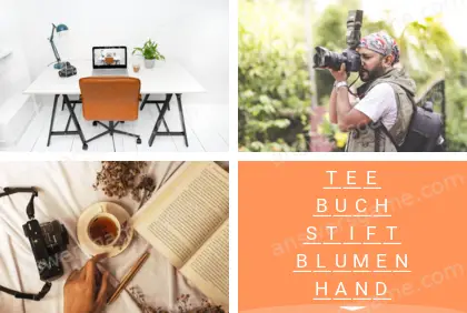 Mehrsilbig (Polysyllable) Ebene 22 Puzzle 6 Lösung