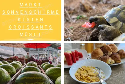 Mehrsilbig (Polysyllable) Ebene 23 Puzzle 3 Lösung