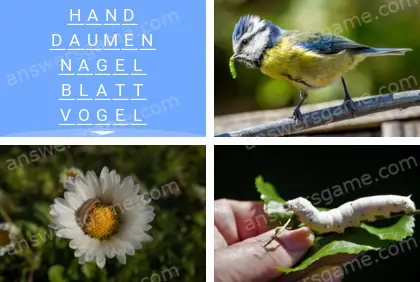 Mehrsilbig (Polysyllable) Ebene 24 Puzzle 5 Lösung