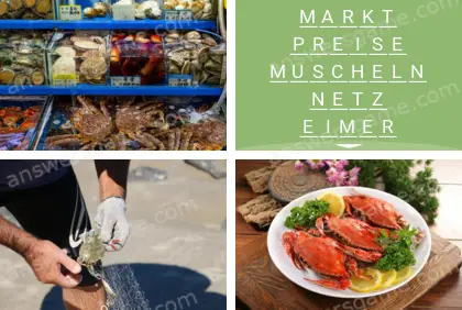 Mehrsilbig (Polysyllable) Ebene 25 Puzzle 5 Lösung