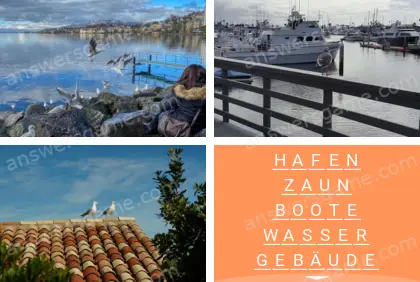 Mehrsilbig (Polysyllable) Ebene 25 Puzzle 10 Lösung