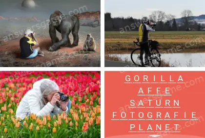 Mehrsilbig (Polysyllable) Ebene 26 Puzzle 8 Lösung