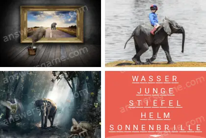 Mehrsilbig (Polysyllable) Ebene 27 Puzzle 9 Lösung