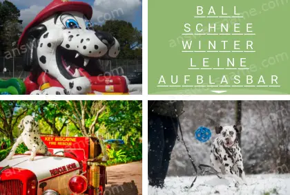 Mehrsilbig (Polysyllable) Ebene 27 Puzzle 10 Lösung