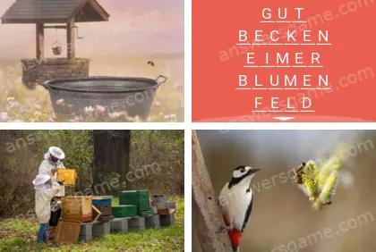 Mehrsilbig (Polysyllable) Ebene 27 Puzzle 8 Lösung