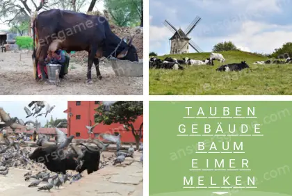 Mehrsilbig (Polysyllable) Ebene 29 Puzzle 3 Lösung