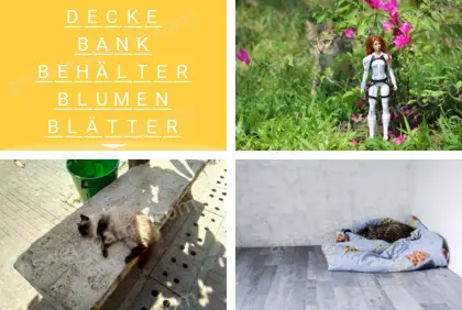 Mehrsilbig (Polysyllable) Ebene 30 Puzzle 9 Lösung