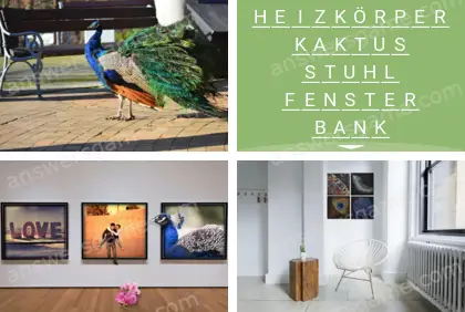 Mehrsilbig (Polysyllable) Ebene 30 Puzzle 6 Lösung