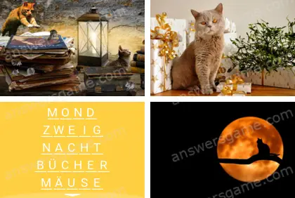 Mehrsilbig (Polysyllable) Ebene 5 Puzzle 9 Lösung