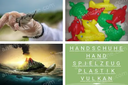 Mehrsilbig (Polysyllable) Ebene 6 Puzzle 2 Lösung