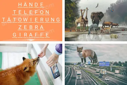 Mehrsilbig (Polysyllable) Ebene 8 Puzzle 4 Lösung