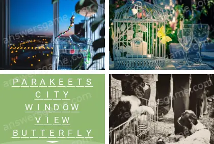 Polysyllable Level 10 Puzzle 3 Answer