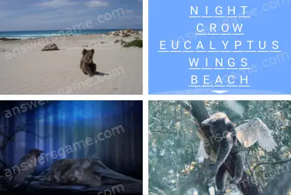 Polysyllable Level 1 Puzzle 10 Answer