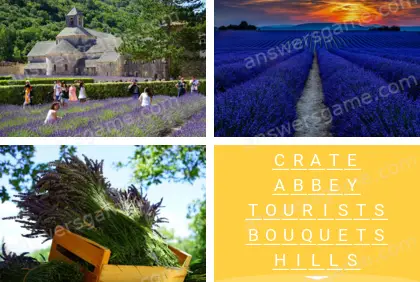 Polysyllable Level 11 Puzzle 5 Answer