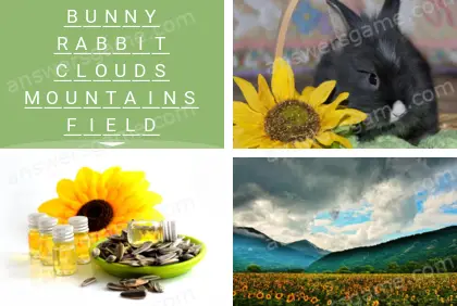 Polysyllable Level 1 Puzzle 1 Answer