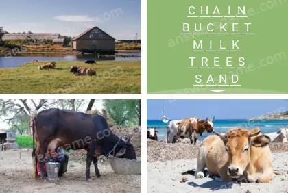 Polysyllable Level 11 Puzzle 6 Answer