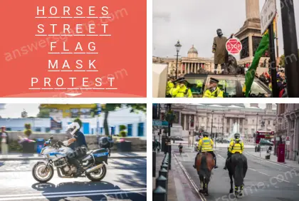 Polysyllable Level 12 Puzzle 3 Answer