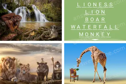 Polysyllable Level 13 Puzzle 7 Answer