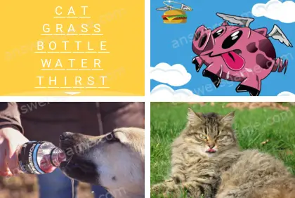 Polysyllable Level 14 Puzzle 10 Answer