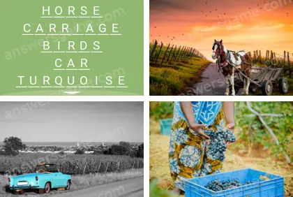 Polysyllable Level 14 Puzzle 4 Answer