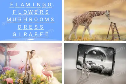 Polysyllable Level 14 Puzzle 2 Answer