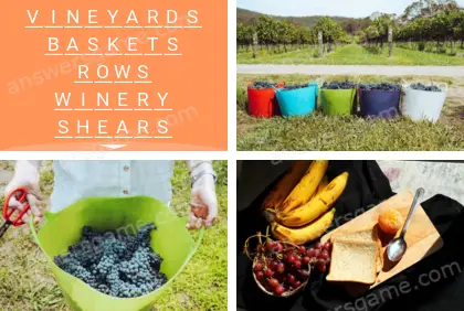 Polysyllable Level 15 Puzzle 5 Answer