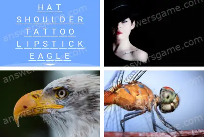 Polysyllable Level 17 Puzzle 10 Answer