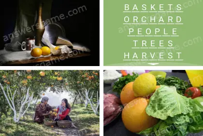 Polysyllable Level 17 Puzzle 9 Answer