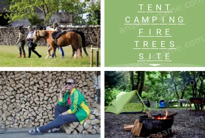 Polysyllable Level 18 Puzzle 9 Answer