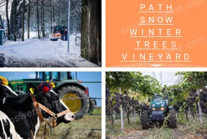 Polysyllable Level 19 Puzzle 3 Answer