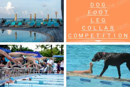 Polysyllable Level 21 Puzzle 3 Answer