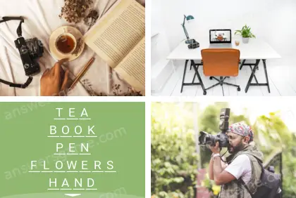 Polysyllable Level 22 Puzzle 6 Answer