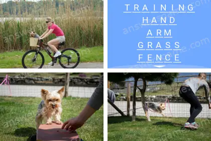 Polysyllable Level 22 Puzzle 8 Answer