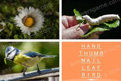 Polysyllable Level 24 Puzzle 5 Answer