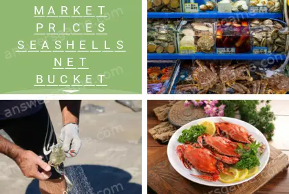 Polysyllable Level 25 Puzzle 5 Answer