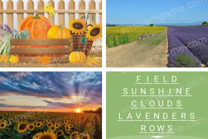 Polysyllable Level 25 Puzzle 1 Answer