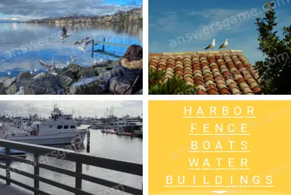 Polysyllable Level 25 Puzzle 10 Answer