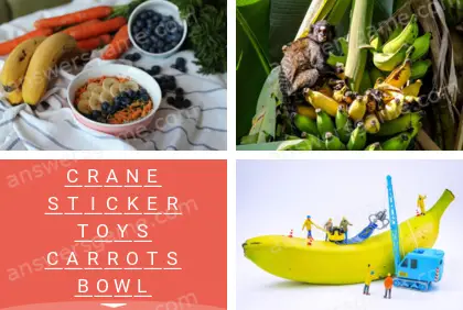 Polysyllable Level 26 Puzzle 7 Answer