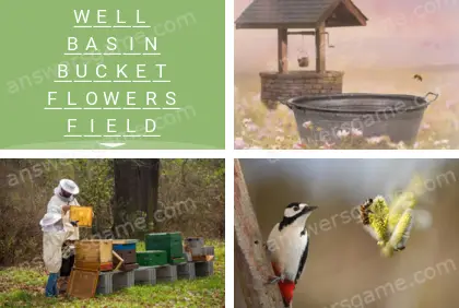 Polysyllable Level 27 Puzzle 8 Answer