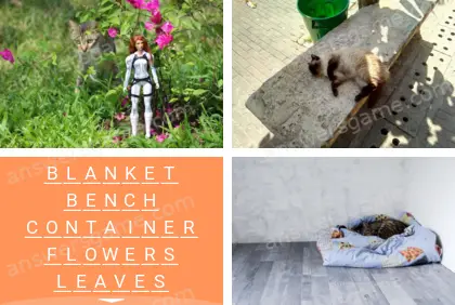 Polysyllable Level 30 Puzzle 9 Answer