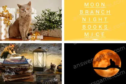 Polysyllable Level 5 Puzzle 9 Answer