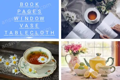 Polysyllable Level 9 Puzzle 6 Answer